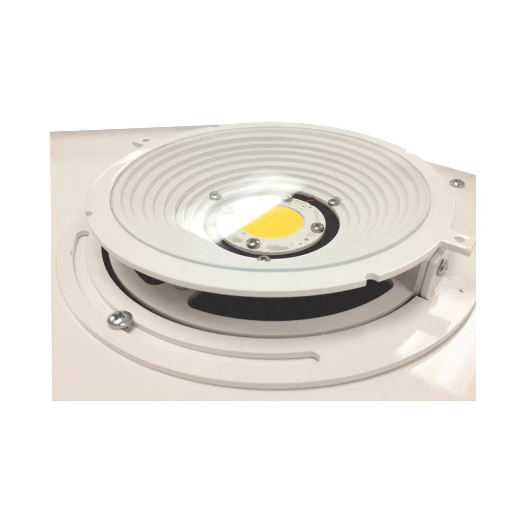 Indirect Tennis/Sport Court LED Fixture